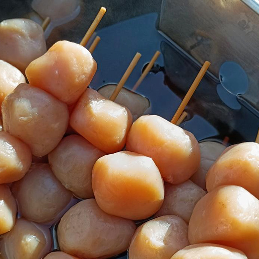 蔵王イベント企画